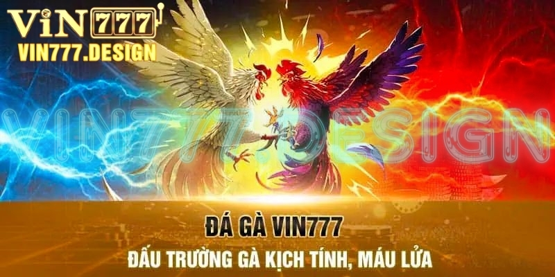 Khái quát về sảnh đá gà đổi thưởng